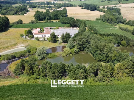 boutique 40 pièce(s)  coteaux-du-blanzacais