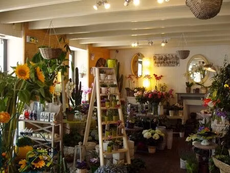 vente commerce vannes (56000)