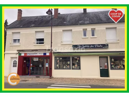 vente maison 1 pièce 160 m² avord (18520)