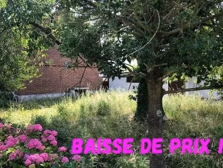 vente maison 6 pièces 82 m² marchiennes (59870)