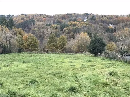 vente maison 1 pièce saint-cirgues-la-loutre (19220)