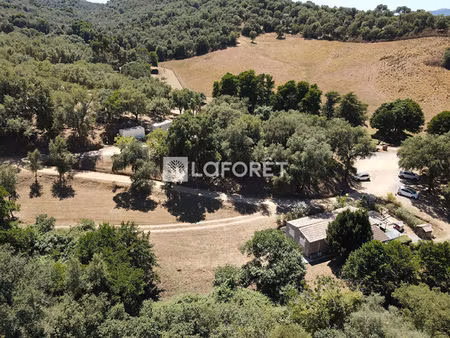 maison t11 sollacaro à vendre