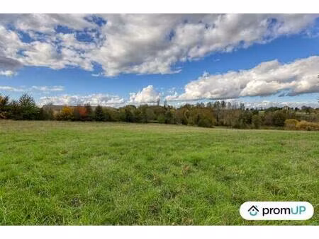 vente terrain 10200 m² glénay (79330)