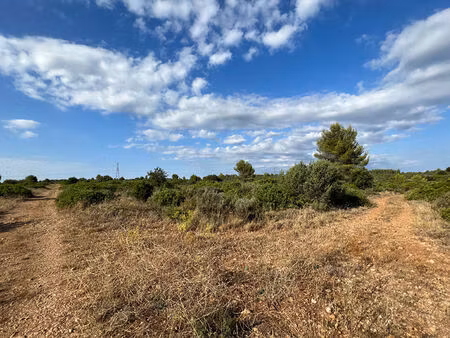 vente terrain  5029.00m²  juvignac