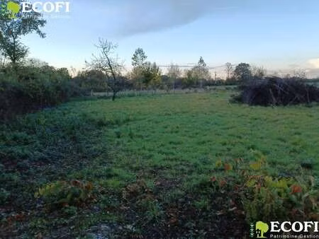 vente terrain à la coudre (79150) : à vendre / la coudre