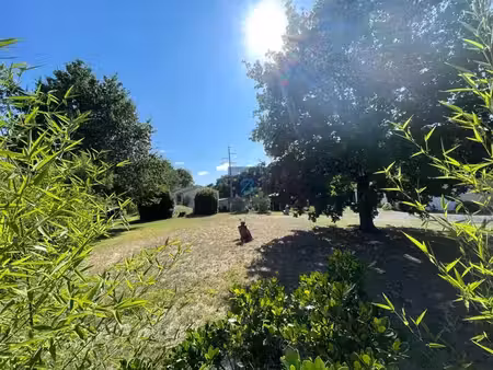 vente terrain la tremblade 17390 - - surface privée