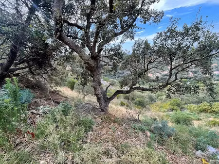 vente terrain 1575 m² à le boulou (66160)  229 000 €