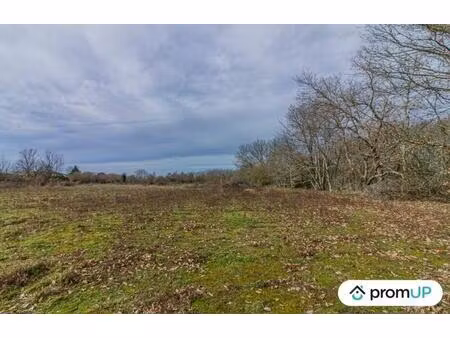 vente terrain 8654 m² montcaret (24230)