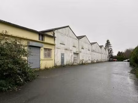 vente terrain 8150 m² saint-brieuc (22000)