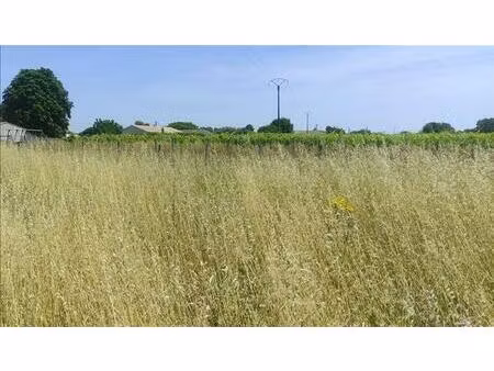 vente terrain 2930 m² saint-même-les-carrières (16720)