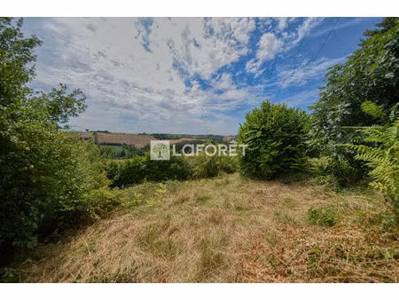 terrain près de salvagnac à vendre