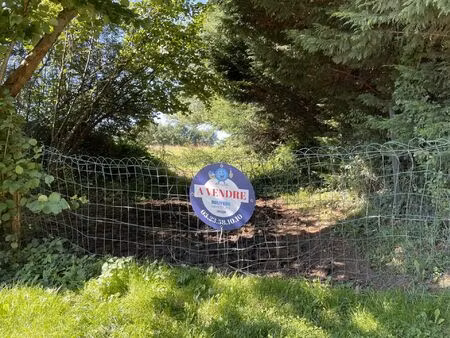 vente terrain 5858 m² signy-le-petit (08380)