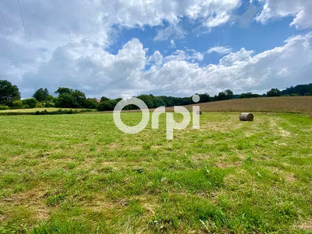 vente terrain 1782m2 cescau 64170 - 65000 € - surface privée