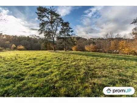 vente terrain 5264 m² chabreloche (63250)