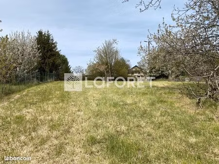 terrain 1 323 m² cousance