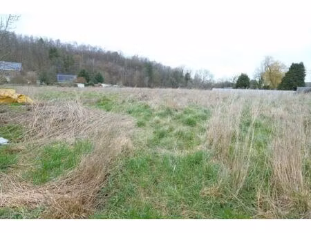 terrain 1ha - constructible - 2 accès carrossable - plat