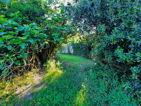 terrain constructible 1215 m²