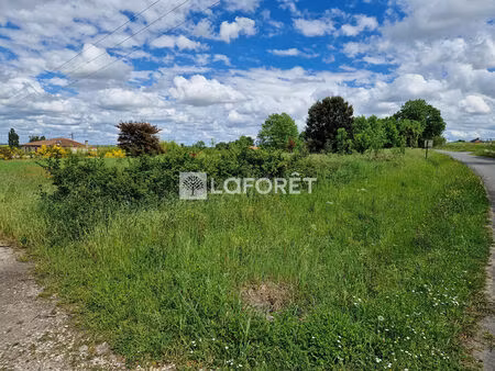 terrain julienne 7447 m2