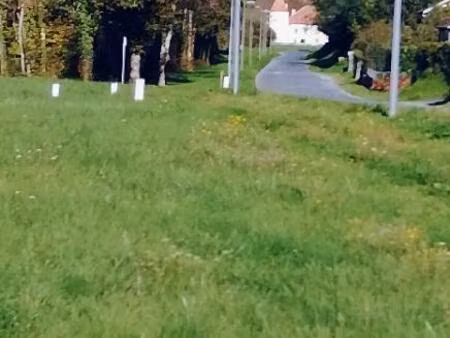 vente terrain 993 m² le pêchereau (36200)