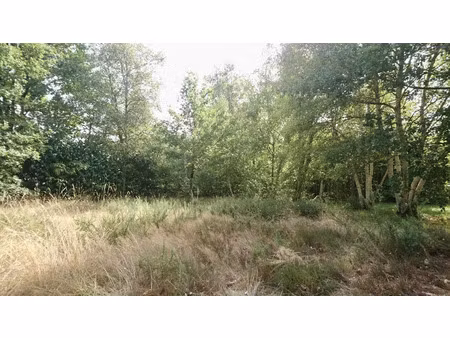 vente terrain 1560 m² mézos (40170)