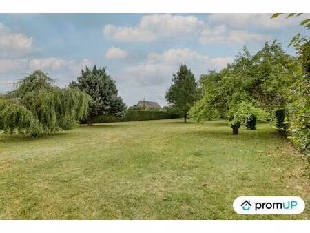 vente terrain 1000 m² oison (45170)