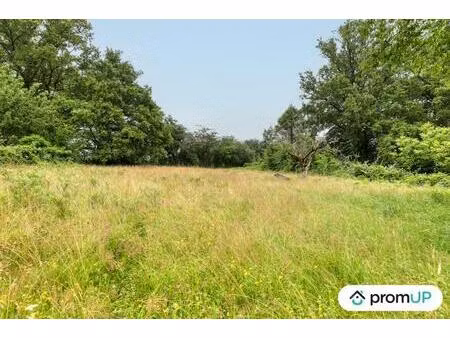 vente terrain 1831 m² oradour-sur-vayres (87150)