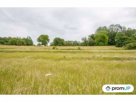 vente terrain 1356 m² prez (08290)