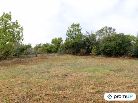 vente terrain 1946 m² saint-cyprien (24220)