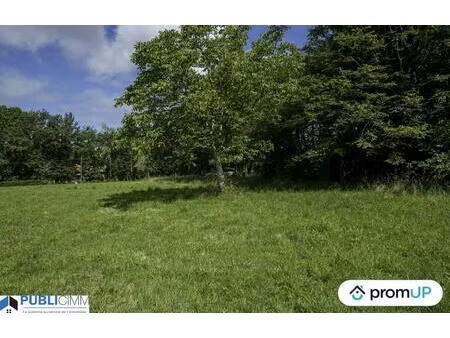 vente terrain 5990 m² saint-junien (87200)