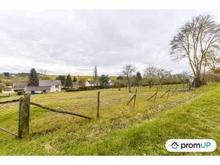 vente terrain 1000 m² saint-père (58200)