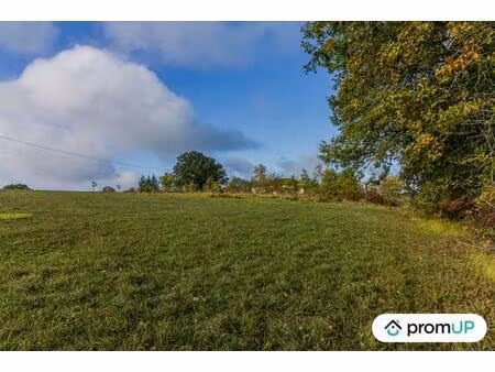 vente terrain 3000 m² saint-victor (24350)