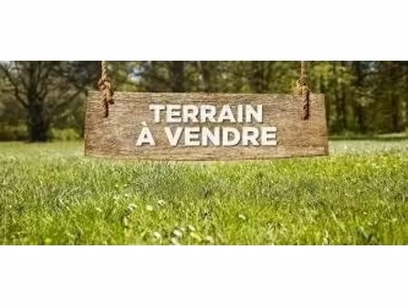 terrain constructible - savigne sur lathan