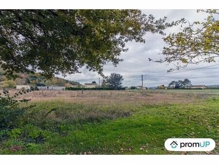 vente terrain 2456 m² sourzac (24400)