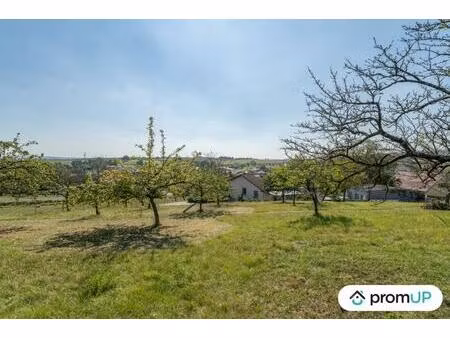 vente terrain 1990 m² valhey (54370)