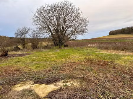 vente terrain 6000 m² à valpuiseaux (91720)  150 000 €