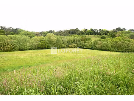 propriété agricole - biarritz - 38394m²