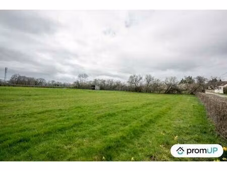 vente terrain 6317 m² montvicq (03170)