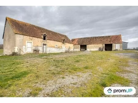 vente terrain 650000 m² velles (36330)