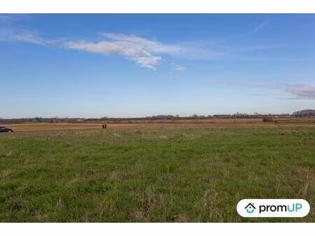 vente terrain 8912 m² varzay (17460)