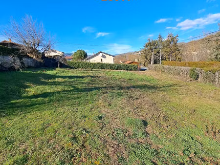 vente terrain ternand (69620)