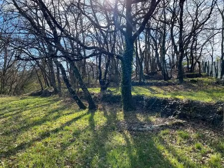 terrain constructible