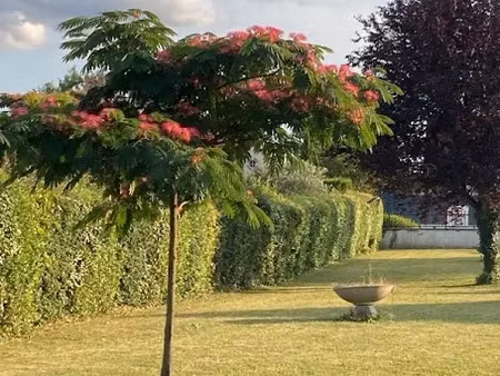 vente terrain 800 m² à checy (45430)  125 000 €