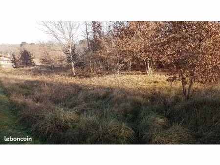 terrain viabilisé sarbazan 1753m²