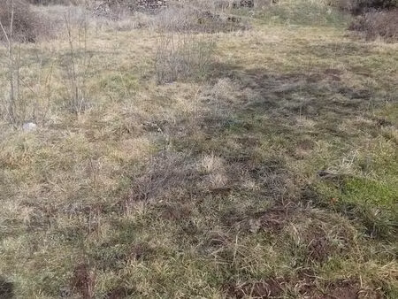 terrain constructible