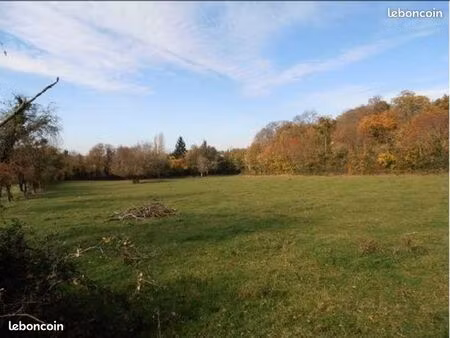 vente terrain constructible dampierre sous bouhy  7125 m2  cu positif  eau  électricité