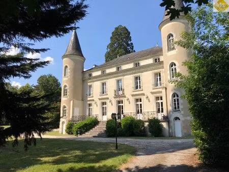 magnifique château à tournon saint pierre