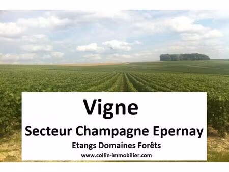 en vente terrain constructible 0 5 ares – 5 000 € |épernay