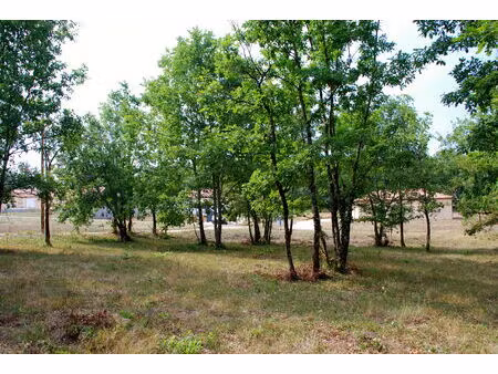 vente terrain montdoumerc (46230)