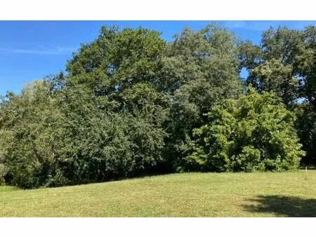 terrain sarbazan 1344 m² t- à vendre  55 000 €