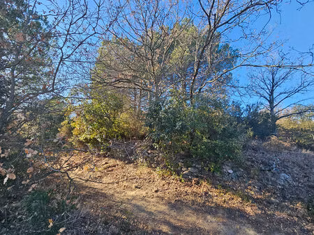 vente terrain 3840m2 villelongue-dels-monts 66740 - 15000 € - surface privée